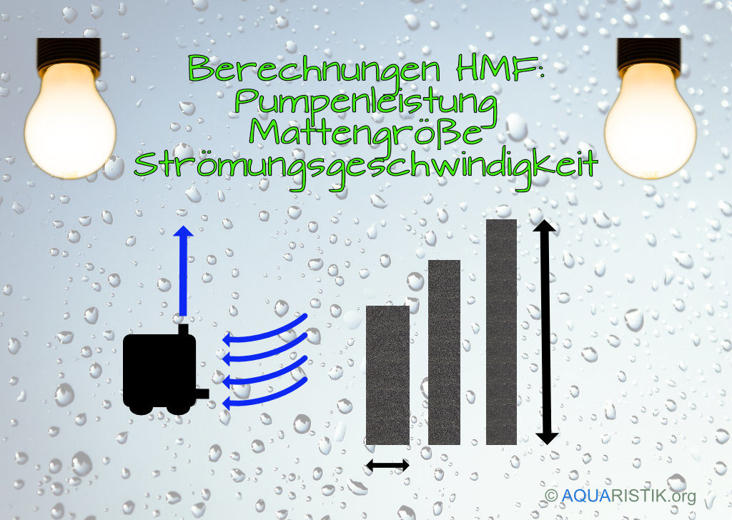 Hamburger Mattenfilter im Aquarium - Aufbau und Berechnung des HMF
